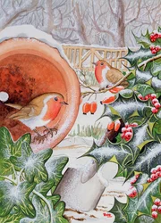 Christmas Robins